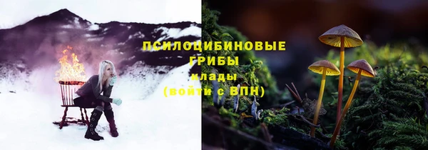 MDMA Premium VHQ Аркадак