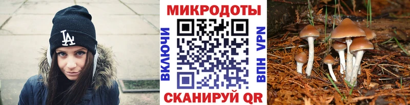 Псилоцибиновые грибы GOLDEN TEACHER Нижние Серги