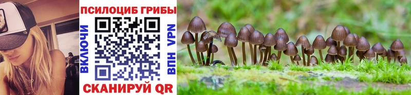 Псилоцибиновые грибы Magic Shrooms  Нижние Серги 